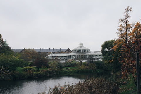 Back view of Copenhagen's Botanical Garden