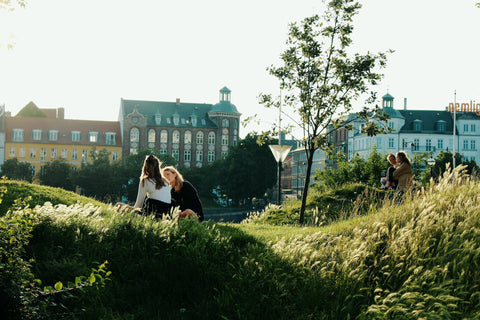 Two women sit in the grass smiling and talking with a Copenhagen cityscape in the background