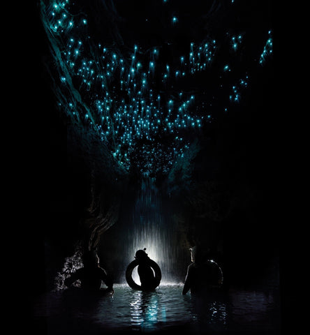 Three cave explorers with inner tubes stand in front of a subterranean waterfall, they look upward at the bioluminescent glowworms above them