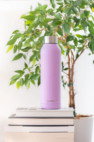 A pink water bottle sitting on a pile of books in front of a plant.