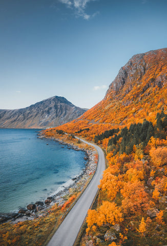 A coastal raod with fall colors