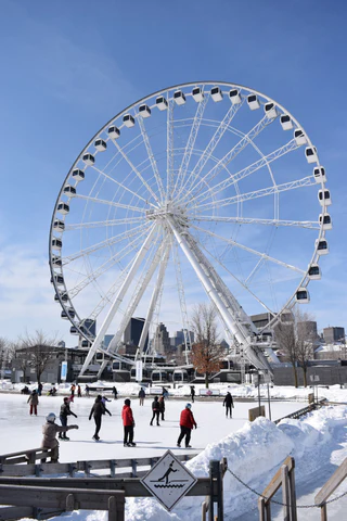 People ice skating outside in front of a large ferris wheel in Montreal, Quebec