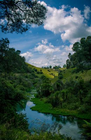 Scenic nature in New Zealand.