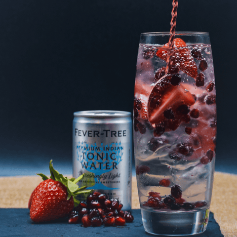 Gin and Tonic with Tayport Distillery Gin - Perfect Summer Cocktails