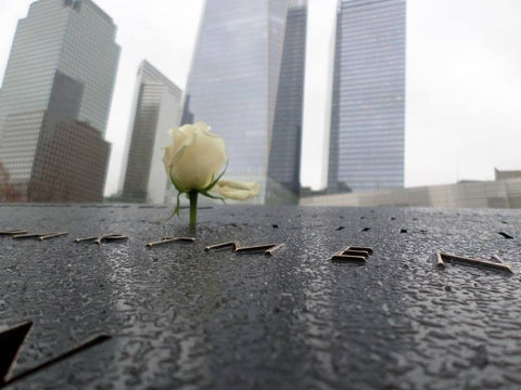 A solitary rose remembers 9/11