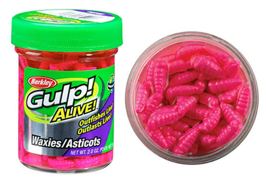 Berkley Gulp! Alive! Maggot Fishing Bait, Red Wiggler, Extreme Scent  Dispersion, Great Replacement for Live Maggots, Ideal for Panfish, Trout,  and More : : Sports & Outdoors