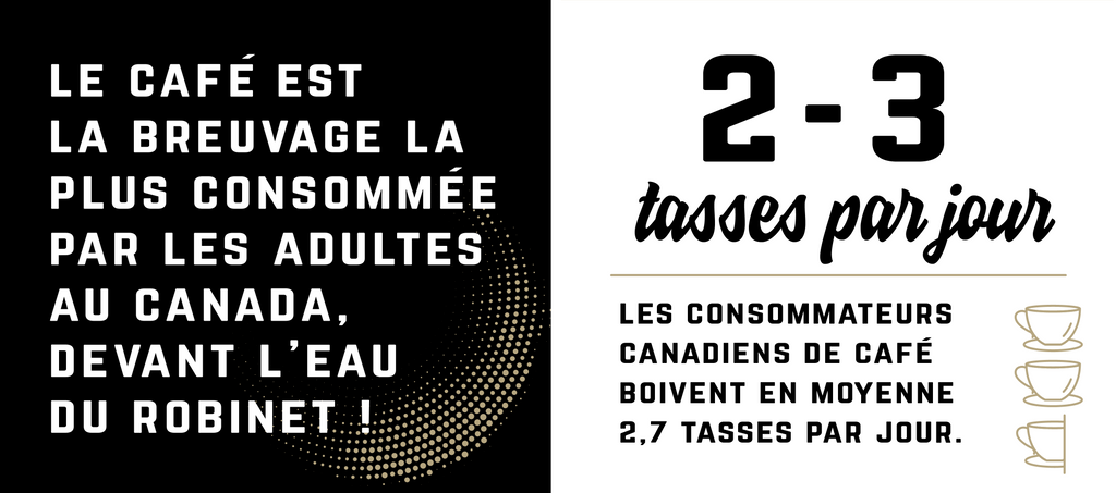 Les Canadiens consomment plus de café que d'eau du robinet ! 2 à 3 tasses par jour. Les consommateurs de café Canadiens boivent en moyenne 2,7 tasses par jour.