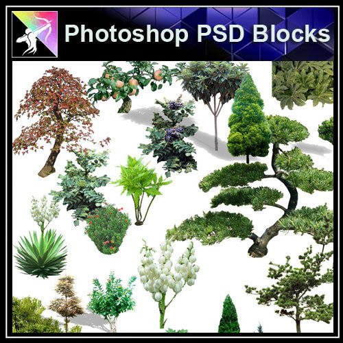 【Photoshop PSD Blocks】Landscape Tree PSD Blocks 8