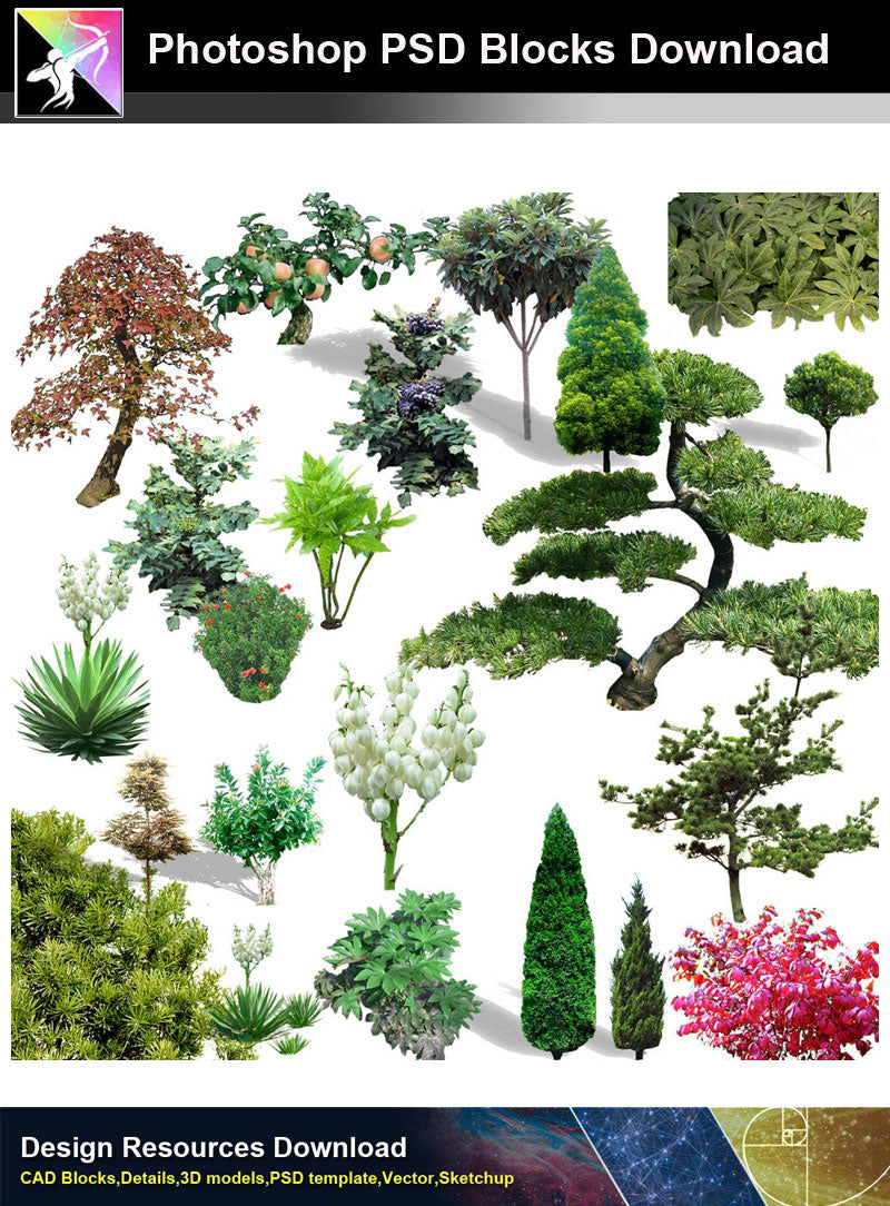【Photoshop PSD Blocks】Landscape Tree PSD Blocks 8