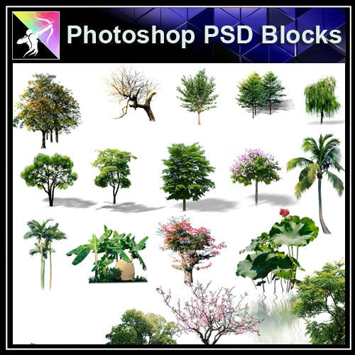 【Photoshop PSD Blocks】Landscape Tree PSD Blocks 10