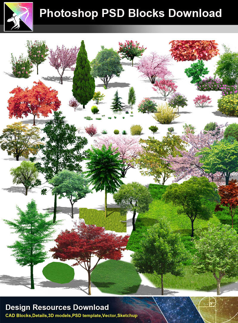 【Photoshop PSD Blocks】Landscape Tree PSD Blocks 11
