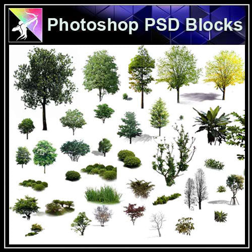 【Photoshop PSD Blocks】Landscape Tree PSD Blocks 17