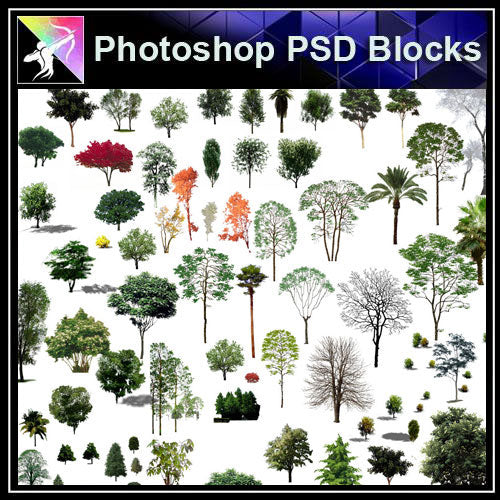 【Photoshop PSD Blocks】Landscape Tree PSD Blocks 20