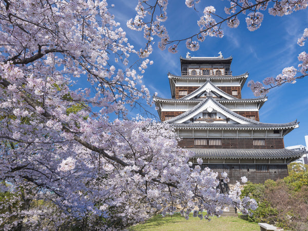 【Famous Architecture Project】Hiroshima Castle Sketchup 3D model-Architectural 3D SKP model