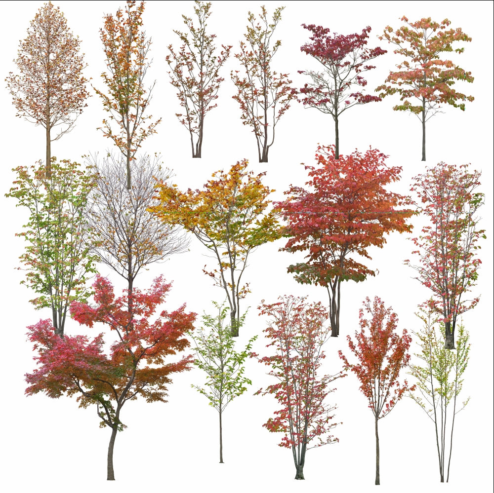 ★Photoshop PSD Landscape Blocks-Trees & Bushes Blocks V.1