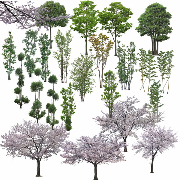 sketchup blocks trees