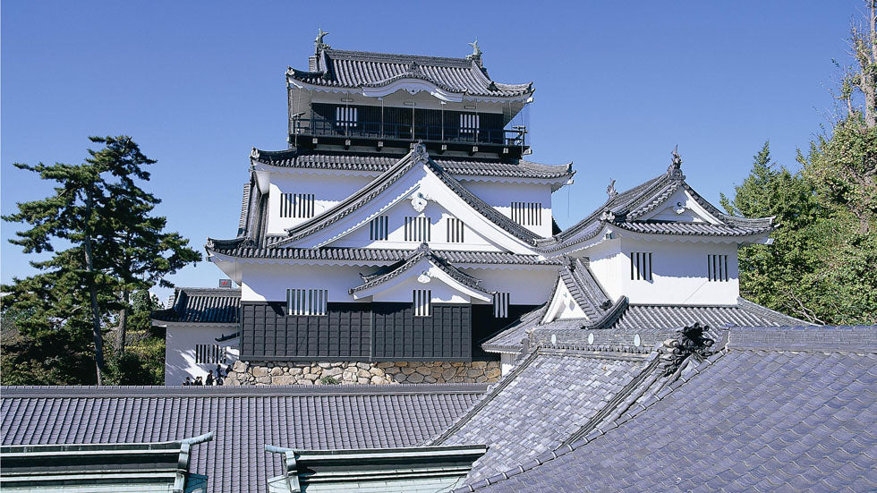 【Famous Architecture Project】Okazaki Castle Sketchup 3D model-Architectural 3D SKP model