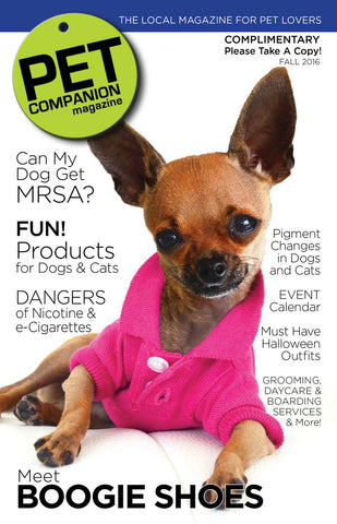 Pet companion for my dog hotsell