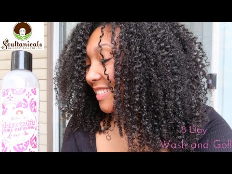 Frizz Whiz, Curl Defining Leave-In — Soultanicals
