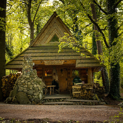 log cabin in woods