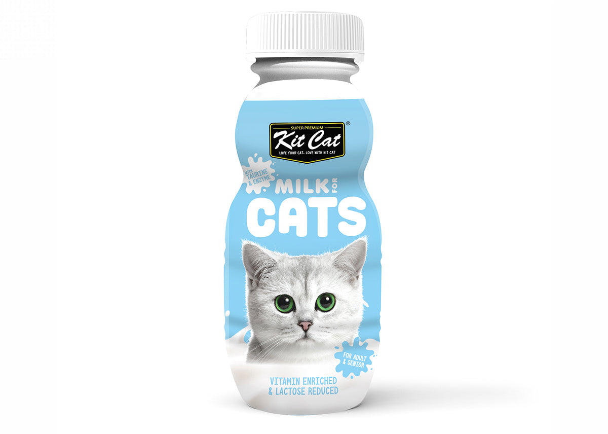 Rebobinar A escala nacional Repelente Leche especial gatos |100% Natural | Sin lactosa, sin azúcar | Kit Cat