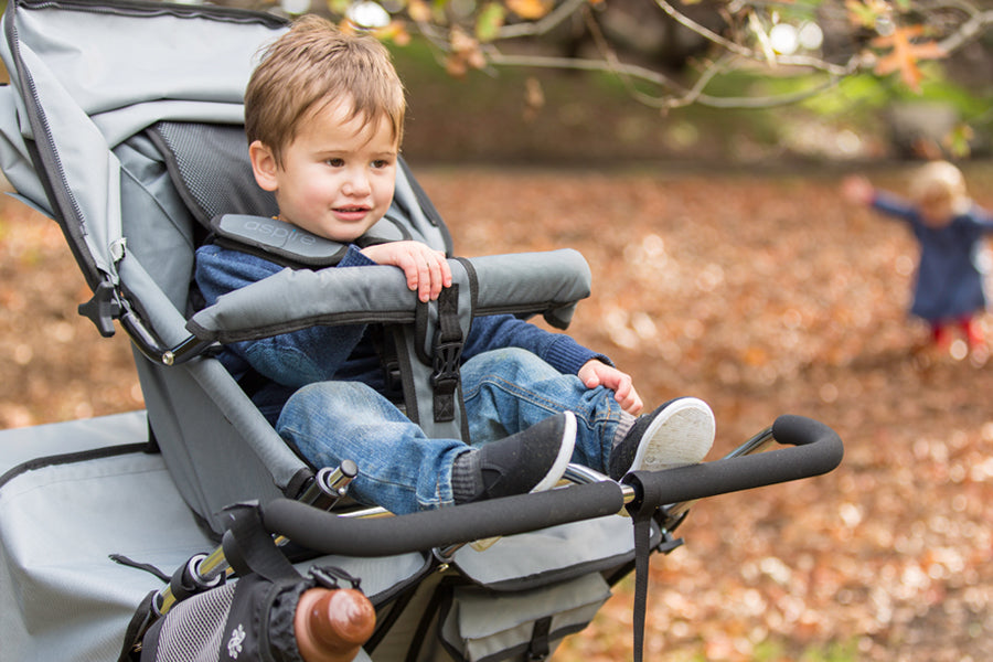 adventure buggy stroller