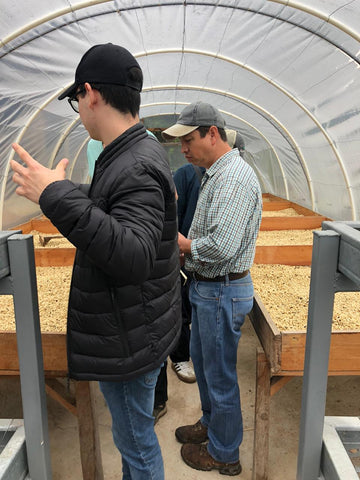 Francisco Pineda, catador de Finca El Limón, asesorando al caficultor