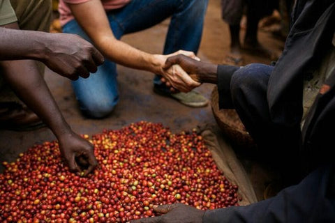 Café de grano Burundi