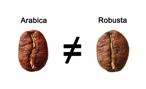 ▷ Tipos de café: Arábica vs. Robusta ¡Conoce Sus Diferencias! – Café Señor K