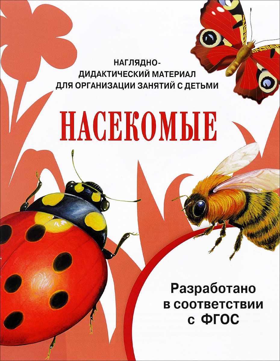 Соответствия насекомые. Насекомые дидактический материал. Насекомые наглядно-дидактический материал. Дидактическое пособие насекомые. Наглядно дидактическое пособие насекомые.