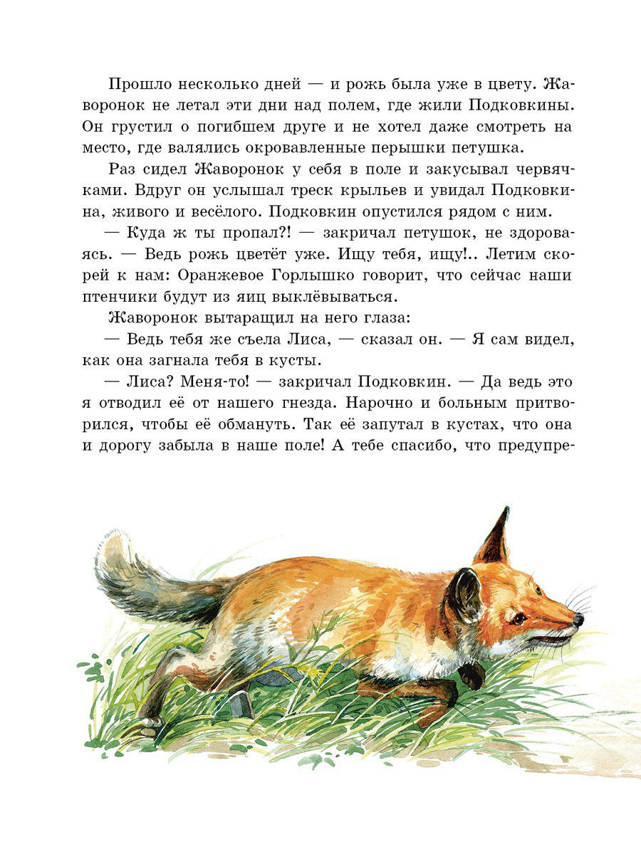 Содержание для читательского дневника оранжевое горлышко. В В Бианки оранжевое горлышко Мурзик. Бианки оранжевое горлышко книга. В В Бианки оранжевое горлышко Мурзук.