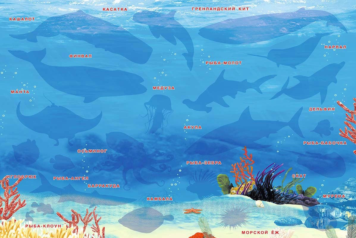 Обитатели океанов для дошкольников. Обитатели океана для детей. Познавательные наклейки кто живет в океане. Карта океанов для детей.