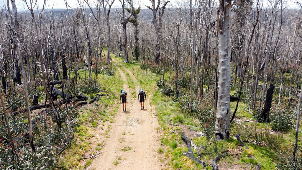 victorian bushfire trail