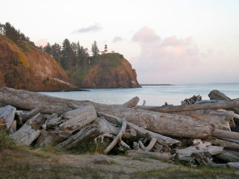 washington coast tourist attractions