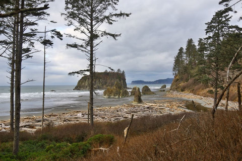 washington coast tourist attractions