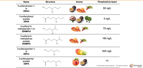 Thiols Structure Fermentis SafAle K-97