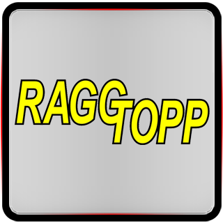 RaggTopp Vinyl Convertible Top Cleaner & Protectant Kit 112067