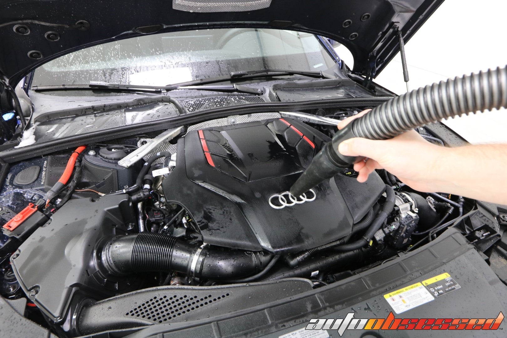 2022 Audi S4 Car Detailing - Auto Obsessed