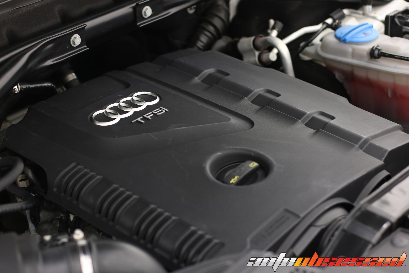 2015 Audi Q5 Car Detailing - Auto Obsessed