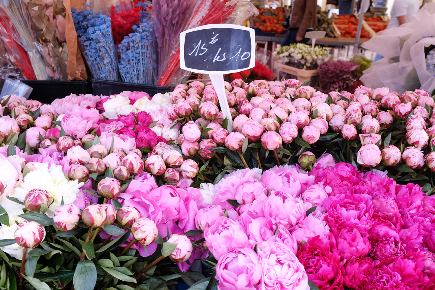 Fragrant Bright Pink Peonies - Everyday Parisian