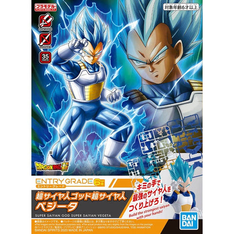 Super Saiyan Blue Evolved Vegeta (Dragon Ball Z) Premium Art Print –  Collector's Outpost