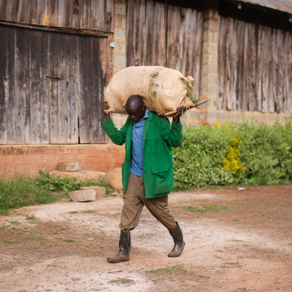 Man walking with bag of green coffee beans