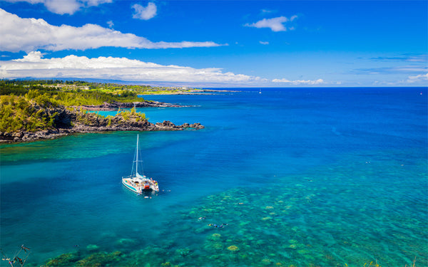 Honolua Bay