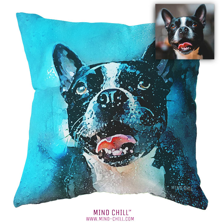 your pet on a pillow