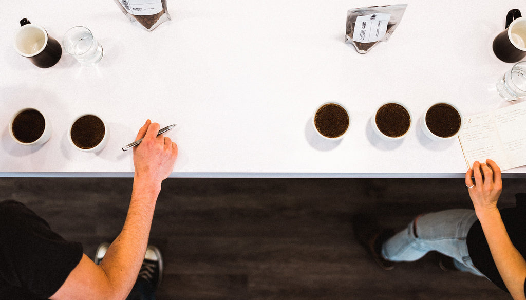 Cupping at No6 Coffee Co.