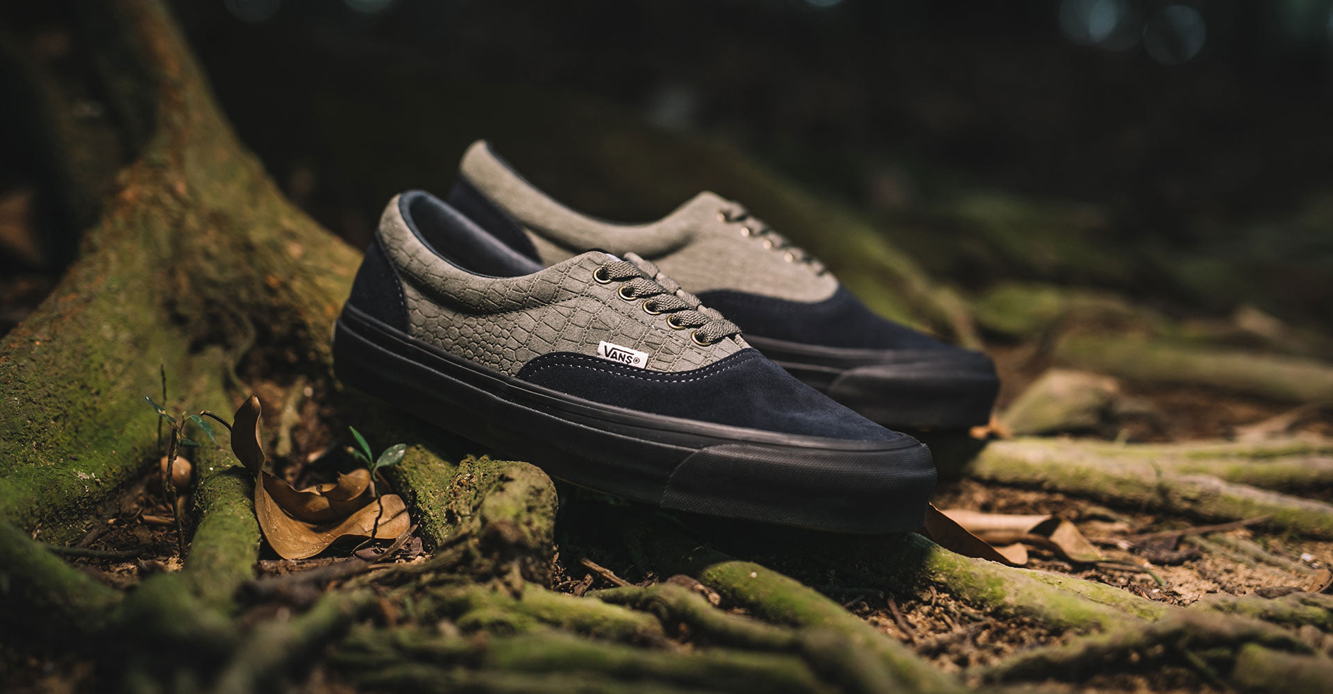 wtaps x vans era