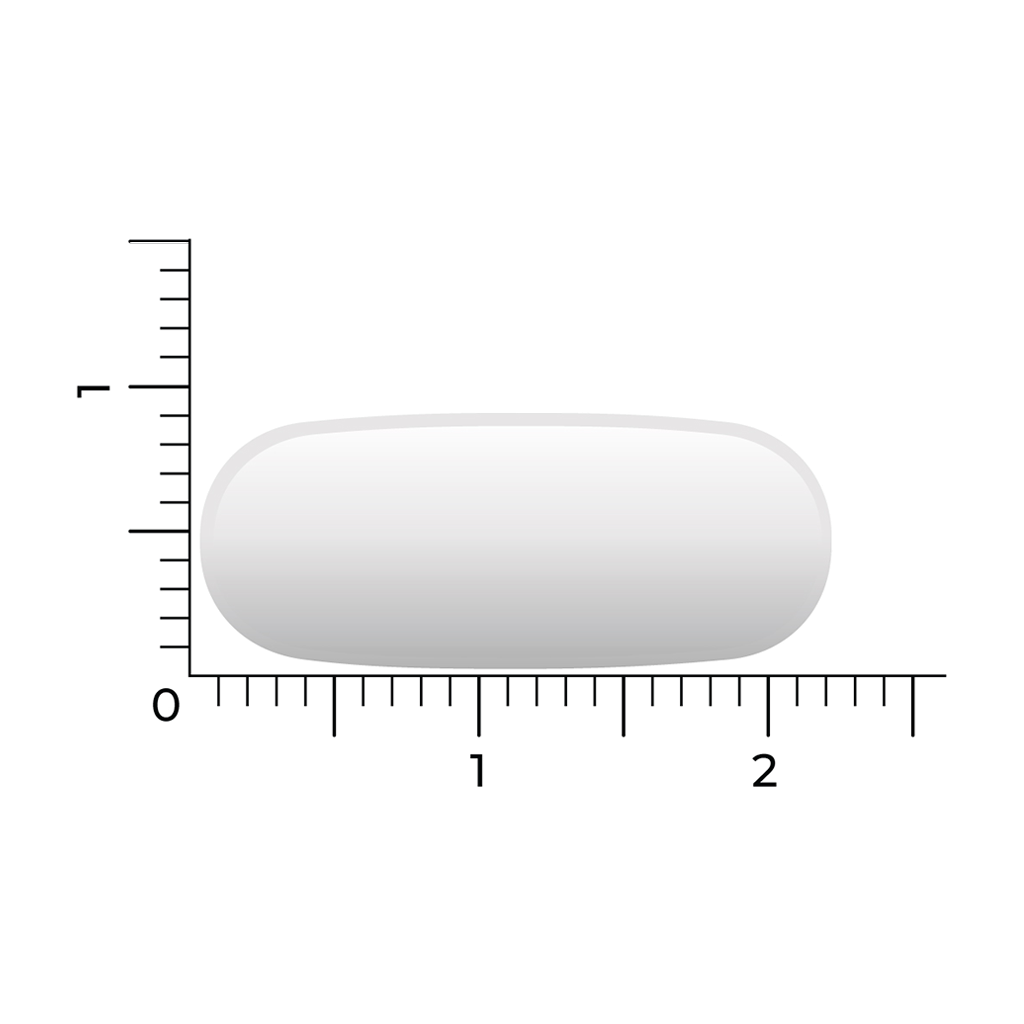 vitakruid msm 1000 mg 4