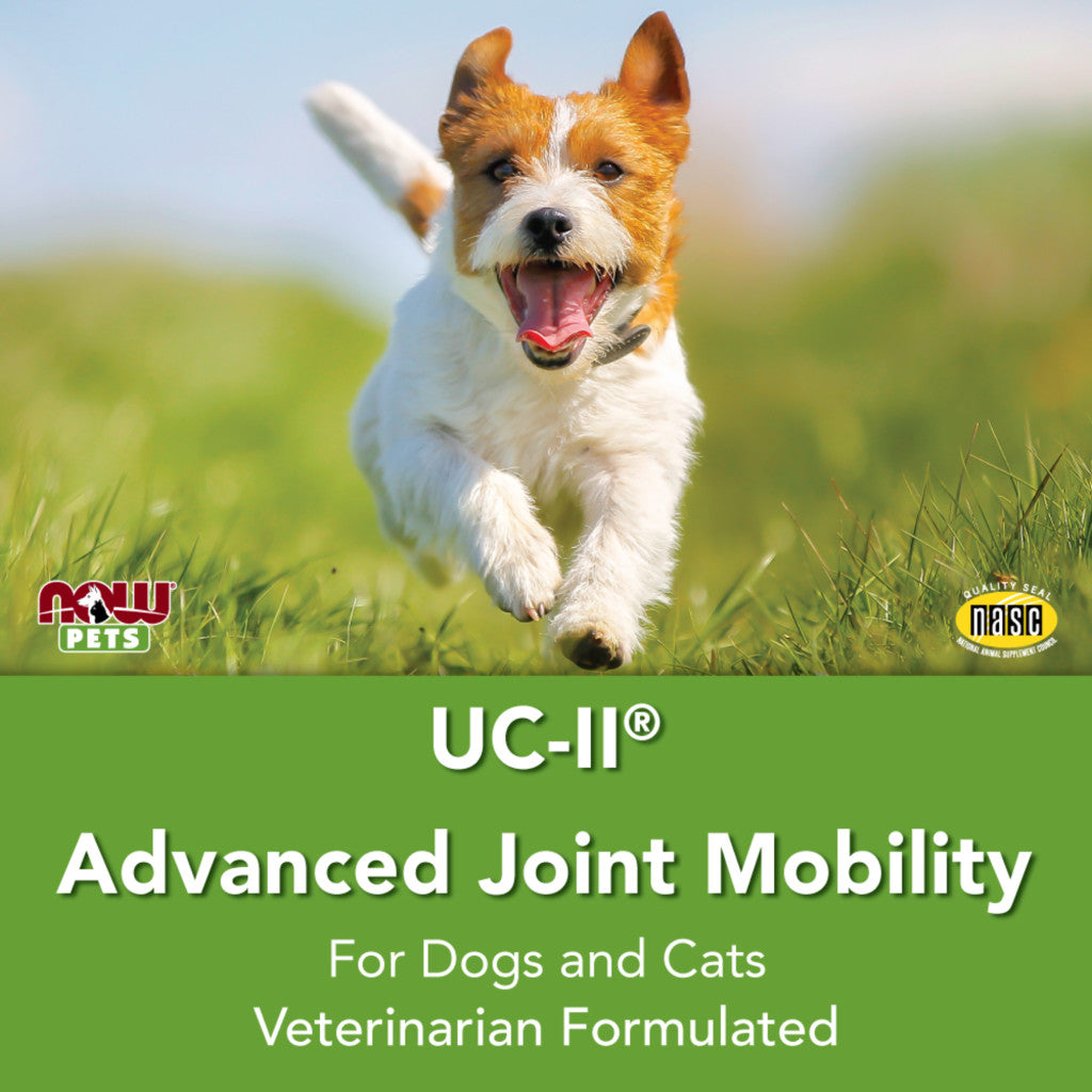 now pet health uc ii advanced joint mobility für hunde und katzen 60 tabletten 7