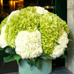 Exquisite arrangement featuring green Viburnum puff by Fleuriste La Floraison, epitomizing Swiss elegance and natural beauty in Zurich, Switzerland.