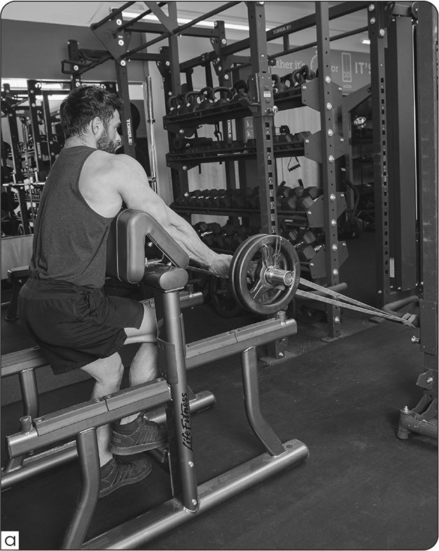Banded Preacher Curl (a)